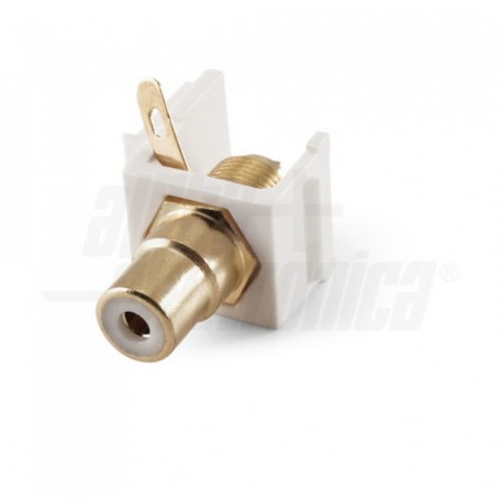 Keystone presa RCA Bianca