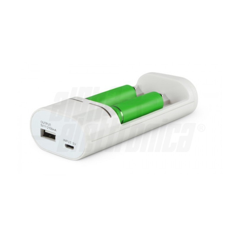 Carica batterie Litio/NiMh