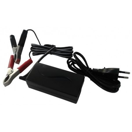 Caricabatteria per batterie al piombo 6/12/24 Vdc 1200mAh