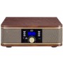 GIRADISCHI OLD FASHION TREVI TT1042DAB
