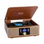 GIRADISCHI OLD FASHION TREVI TT1042DAB