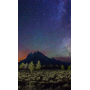 OSSERVARE LE STELLE