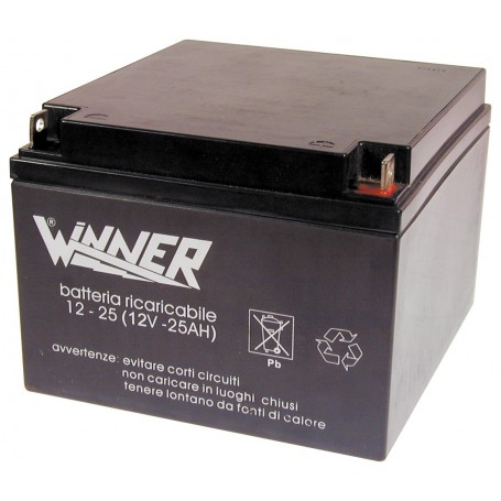 BATTERIA AL PIOMBO 12V 25A
