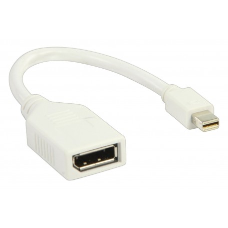 ADATTATORE MINI DISPLAYPORT - DISPLAYPORT