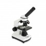 MICROSCOPIO CELESTRON CM800