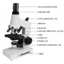 KIT MICROSCOPIO BIOLOGICO CON WEBCAM CELESTRON CM44320-DS