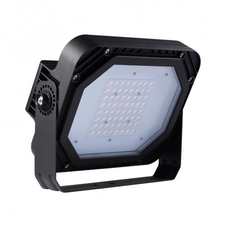 FARO LED PROFESSIONALE PER AREE ESTERNE 60W