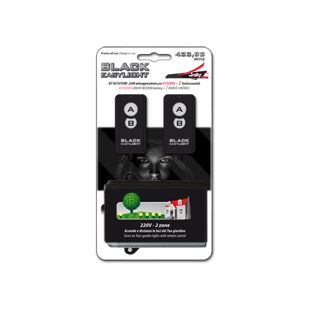 Kit ricevitore 220V da esterno + 2 radiocomandi