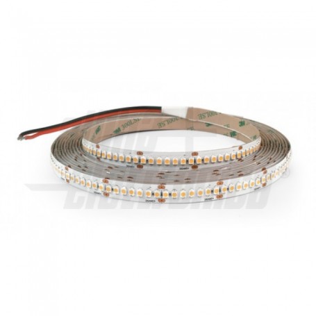 STRISCIA LED 5MT 24V 19.2W/MT BIANCO CALDO 3000K