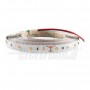 STRISCIA LED 5MT 24V 14.4W/MT BIANCO FREDDO 6000K