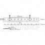 STRISCIA LED 5MT 24V 23W/MT BIANCO FREDDO 6000K