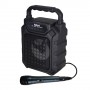 SPEAKER AMPLIFICATO 25W BLUETOOTH