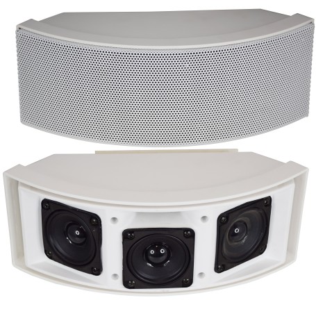 COPPIA SPEAKERS 2x 100W 8 Ω